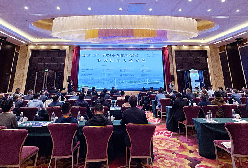 蒼容潯江大橋專場.jpg