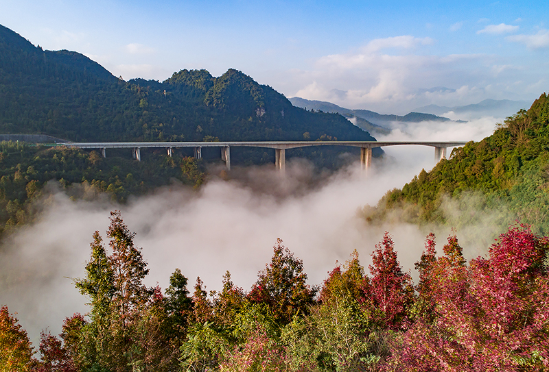百色至靖西高速公路百大特大橋.jpg 百色至靖西高速公路百大特大橋.jpg